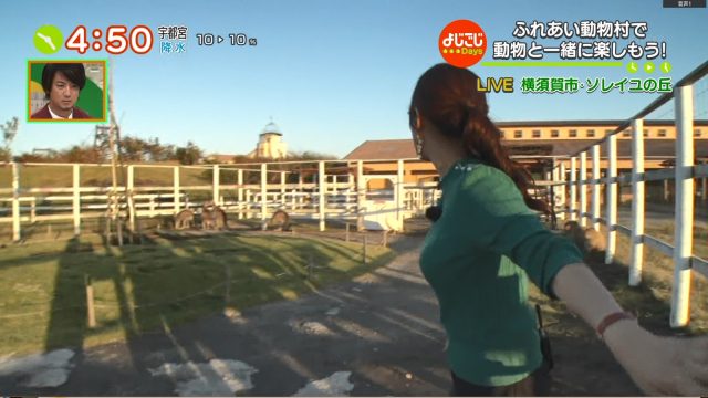 2018年10月2日テレ東「よじごじdays」のテレビキャプチャー画像-346