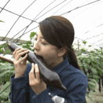 【画像・GIF】NHK「うまいッ！」で松井絵里奈さんの大長なすの食べ方がエチチだと話題に?