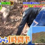 【画像】日本テレビ「沸騰ワード10」できのこ狩りを頑張るゆきぽよさんのデニムのお尻がエチエチ😍🍑😍🍑😍🍑😍🍑