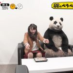 【画像・GIF】日本テレビ「ZIP!」、パンダの横でパンツが見えたかもしれないと話題に